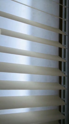 PVC пенится занавес мечты Semi слепого водоустойчивого УЛЬТРАФИОЛЕТОВОГО масла Mildew устойчивый вертикальный